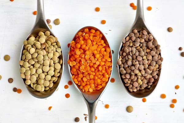 منابع پروتئینی مناسب برای گیاهخواران
