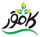 logo2