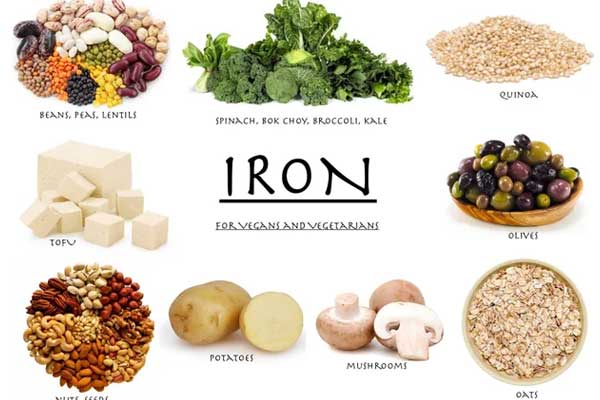 غذاهای غنی از آهن
