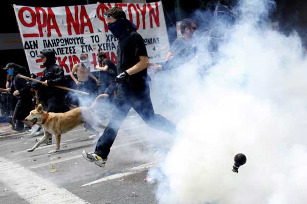 تاثیر گاز ضد شورش بر سگ‌ها و گربه‌ها